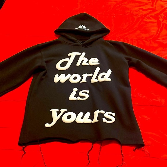 Cropped distressed hoodie (TheWorldIsYours)